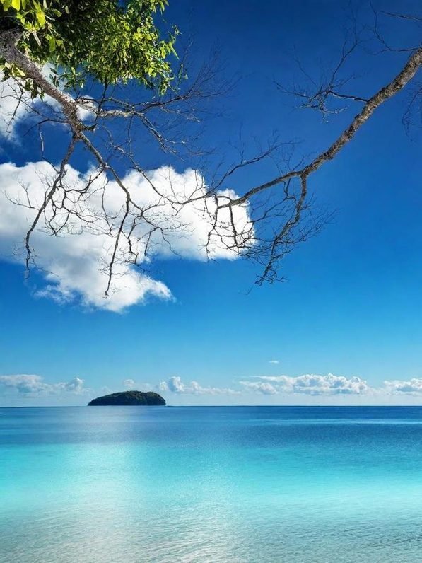 Découvrez le Climat Unique de l&rsquo;Antarctique !