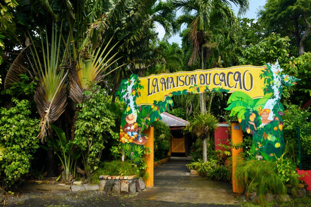 8 Raisons Irrésistibles de Visiter la Maison du Cacao en Guadeloupe