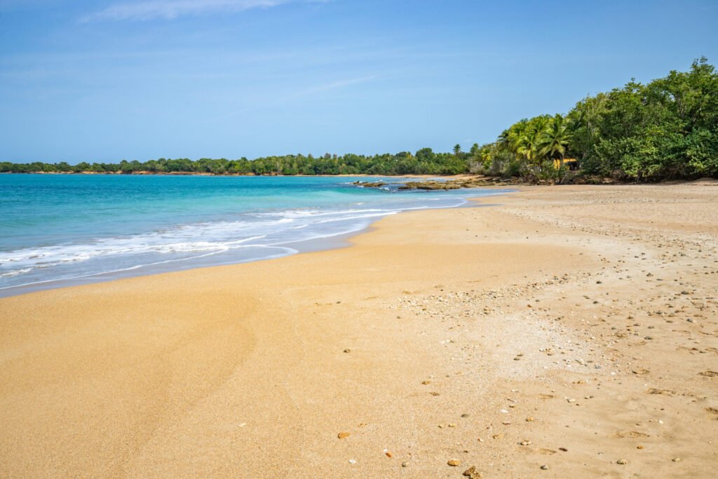 Plage Grande Anse Guadeloupe : Idéale pour les Touristes